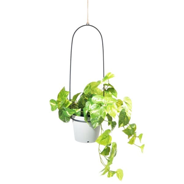 Hanging planters are a perfect way to incorporate nature in your home. Mild powder coated steel.