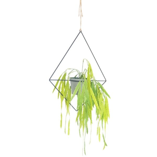 Hanging planters are a perfect way to incorporate nature into your home. Mild powder coated steel. Indoor use only. Plant and pot excluded Dimensions Ring diameter : 90mm Width : 325 mm Height : 420mm
