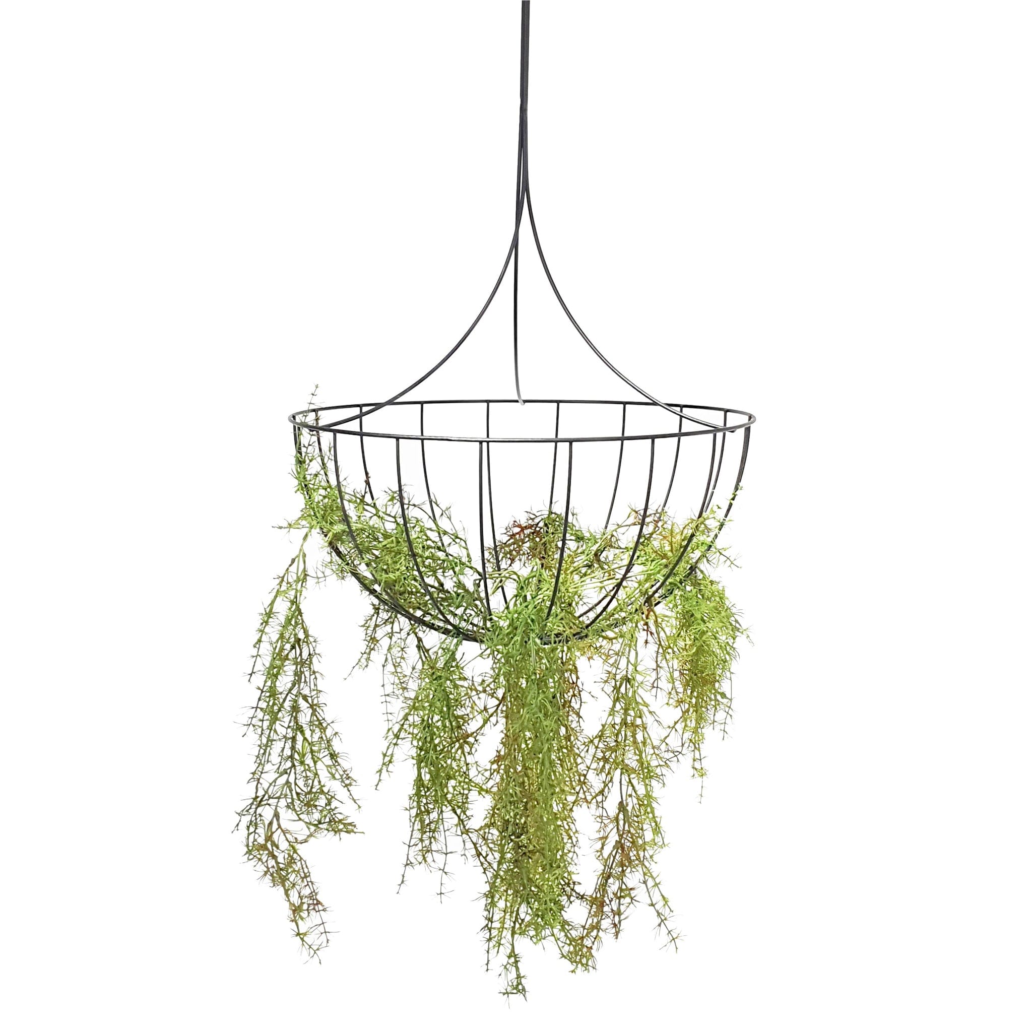 Hanging planters are a perfect way to incorporate nature into your home. Mild powder coated steel.