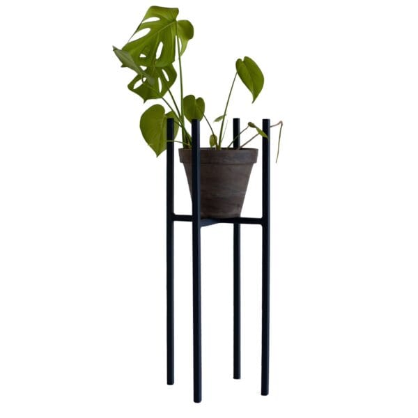 One of the best ways to add a decorative touch to a corner of your house is by elevating your plants with a plant stand. Rings hold standard pot sizes 115mm, 190mm and 240mm in diameter. Please note that these are for interior use only and it excludes the pot and plant.