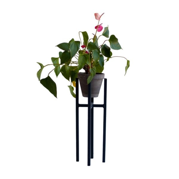 One of the best ways to add a decorative touch to a corner of your house is by elevating your plants with a plant stand. Rings hold standard pot sizes 115mm, 190mm and 240mm in diameter. Please note that these are for interior use only and it excludes the pot and plant.