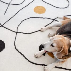 Enjoy a superb softness underfoot with this rug’s handwoven 100% wool construction. Featuring organic linework set on a bright background, this eye-catching art piece was designed to evoke a sense of movement in your indoor spaces.