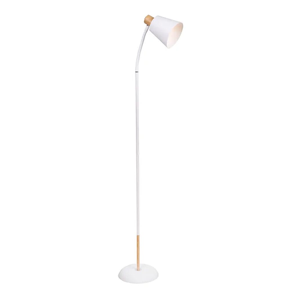 Curve Floor Lamp