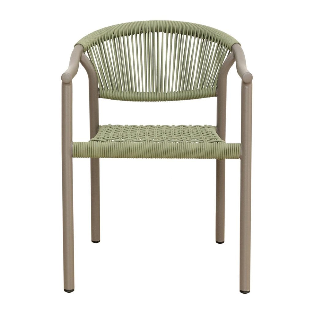 Iman Dining Chair in Boomslang