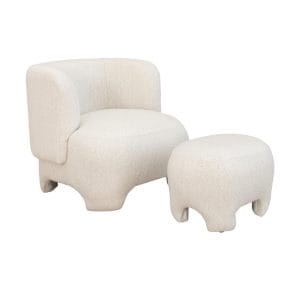 Nala Occasional Chair Set in Tranquil